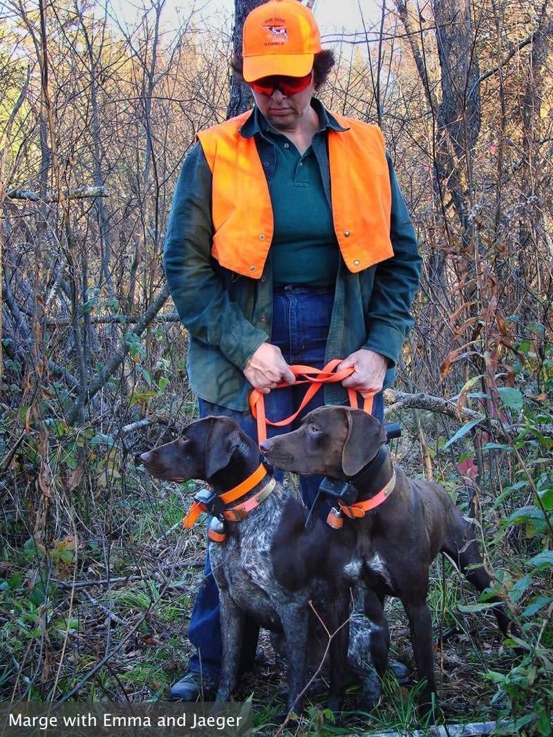 Photo Gallery Gun Dog Kennels